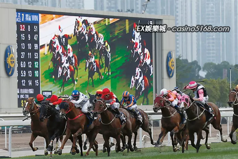 賽馬技巧選擇最佳投注平台 賽馬技巧選擇最佳投注平台