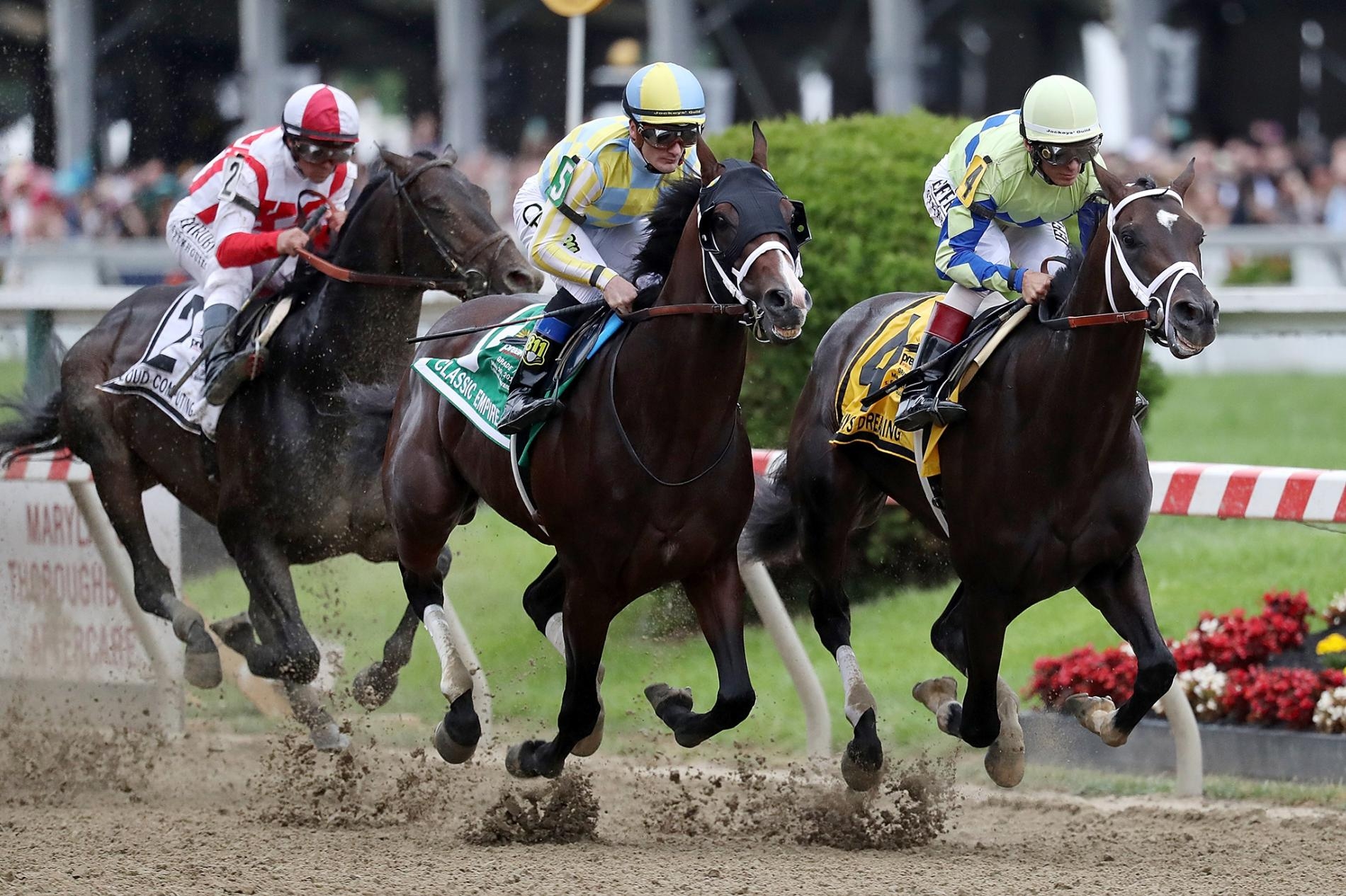 掌握賽馬數據分析,提升下注勝率|T9娛樂城